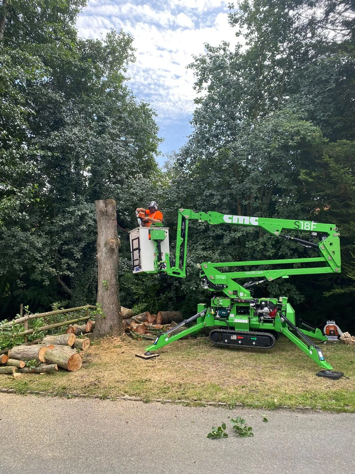Alder Removal for Scottish Power