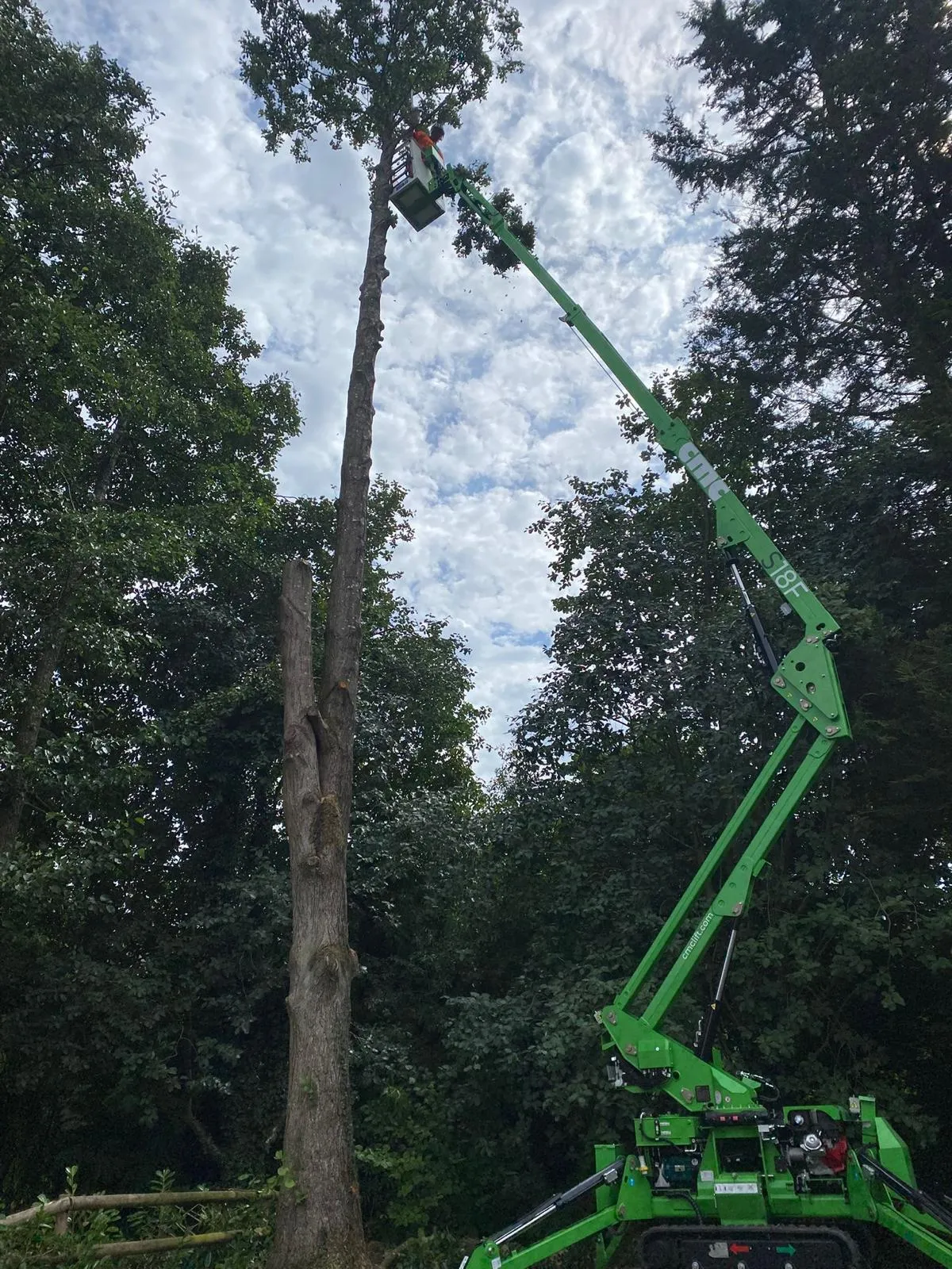 Chipper truck processing timber roadside during the Scottish Power shutdown