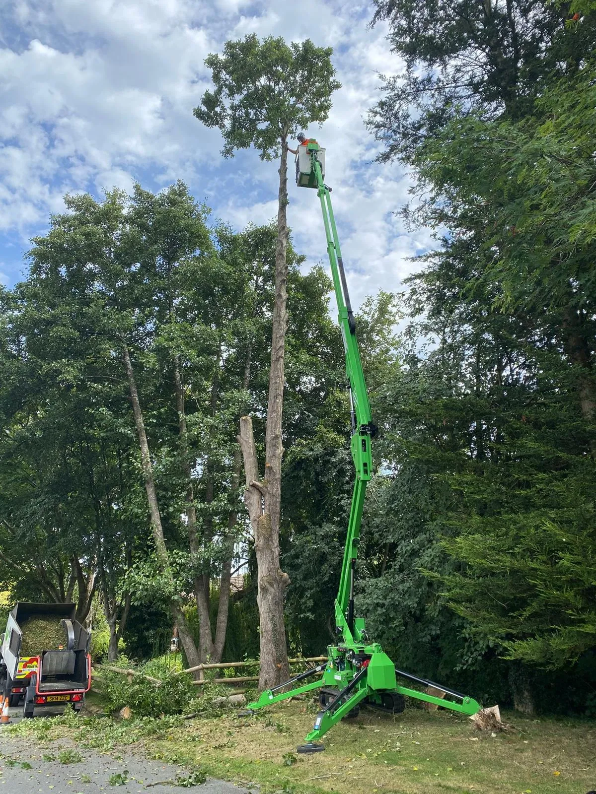 Completed alder removal alongside the carriageway