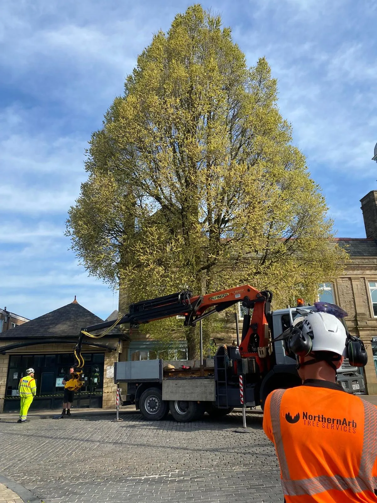 Darwen Town Centre Tree Removal