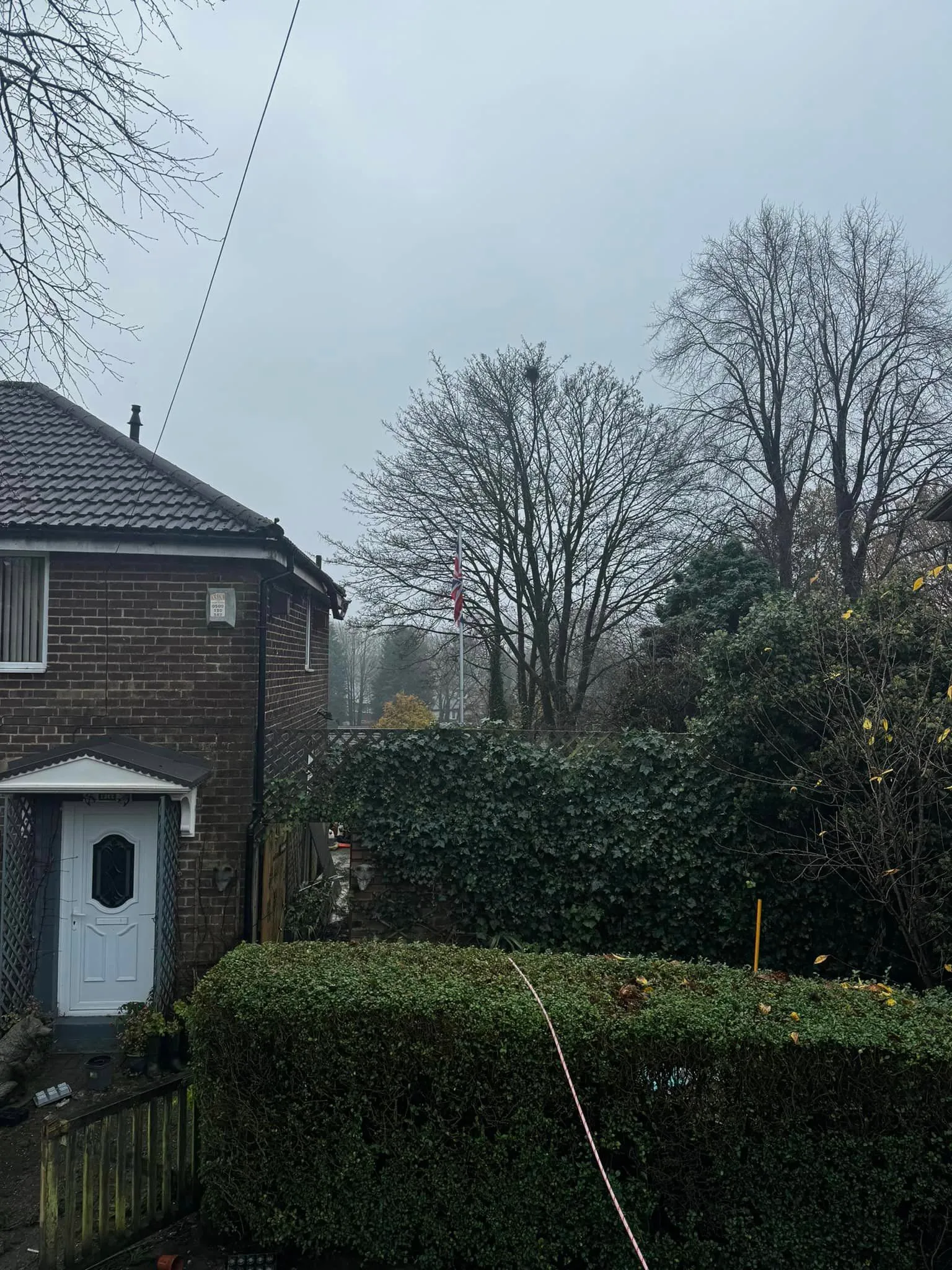NorthernArb making a garden hedge safe and tidy