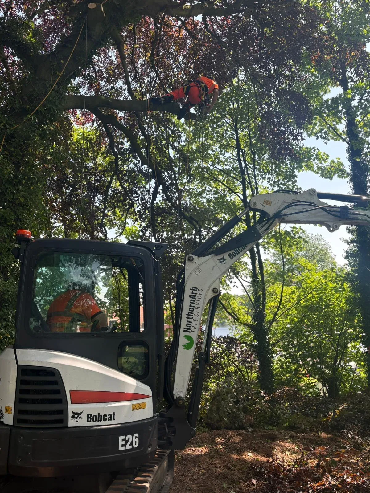 Site clearance — The Mere Golf Course