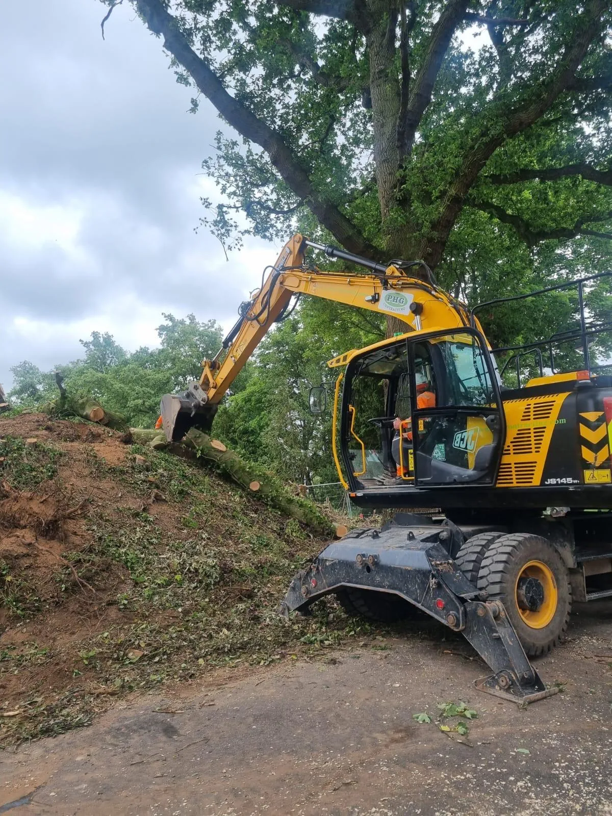 Tree dismantling in progress at Mere Golf Club