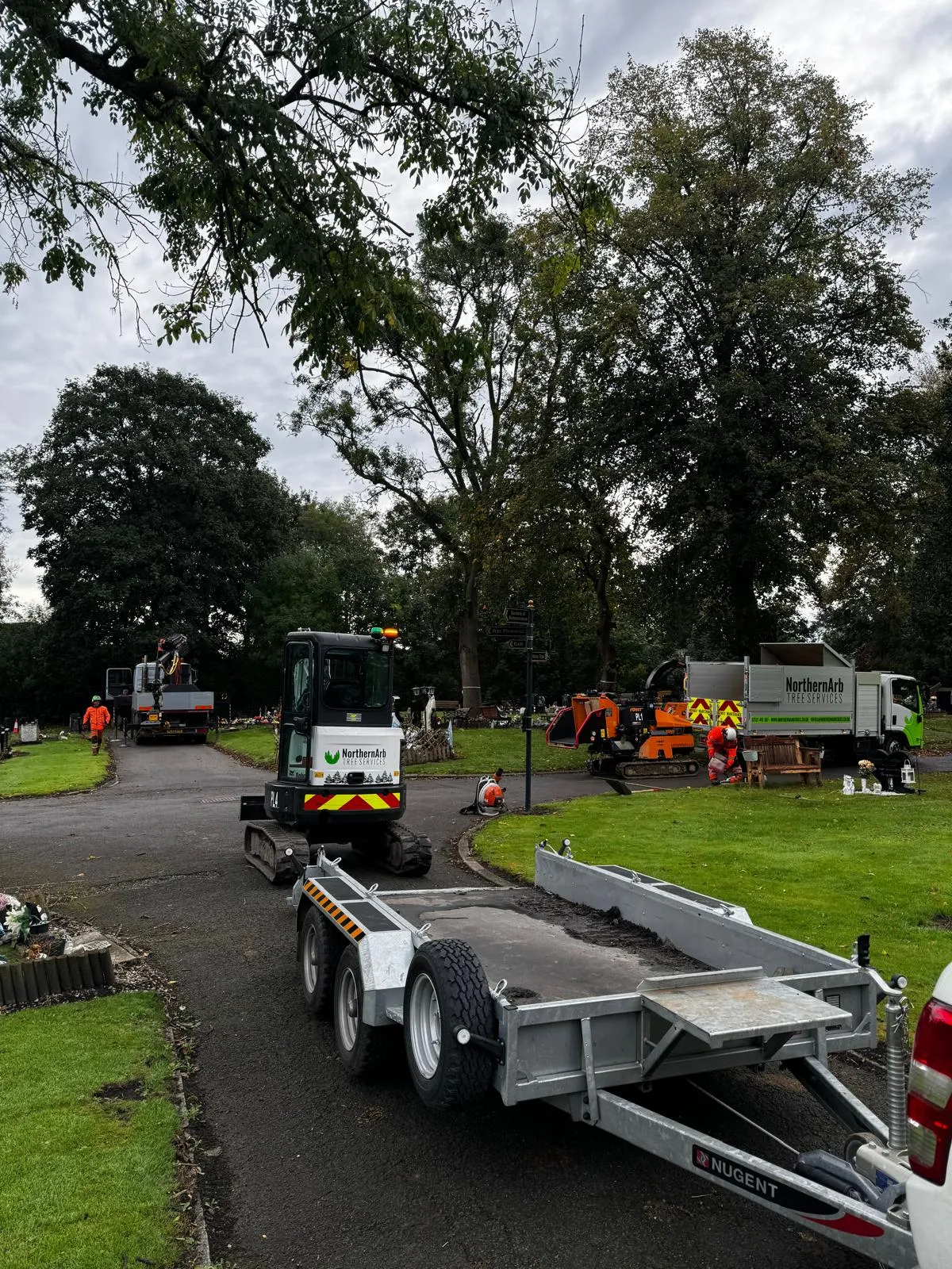 Tree removal — Gorton Cemetery