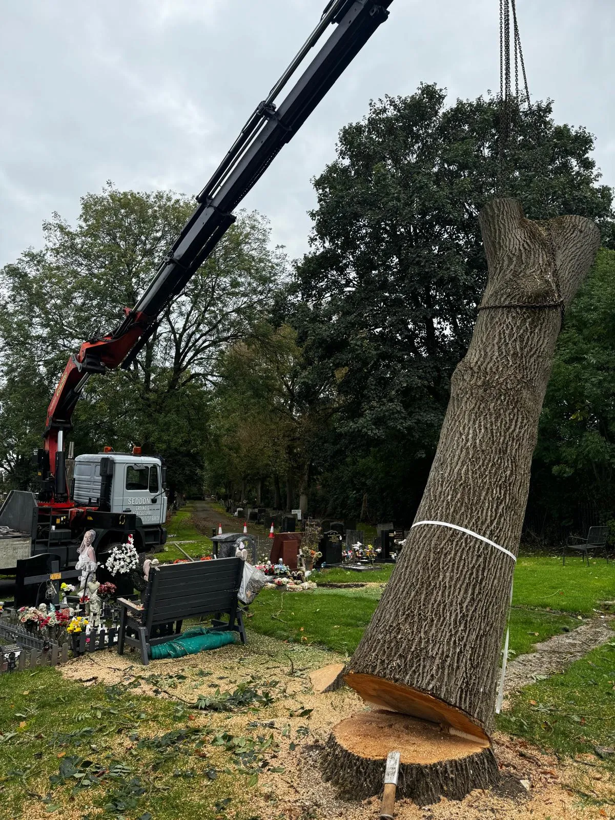 Gorton Cemetery grounds restored after tree removal