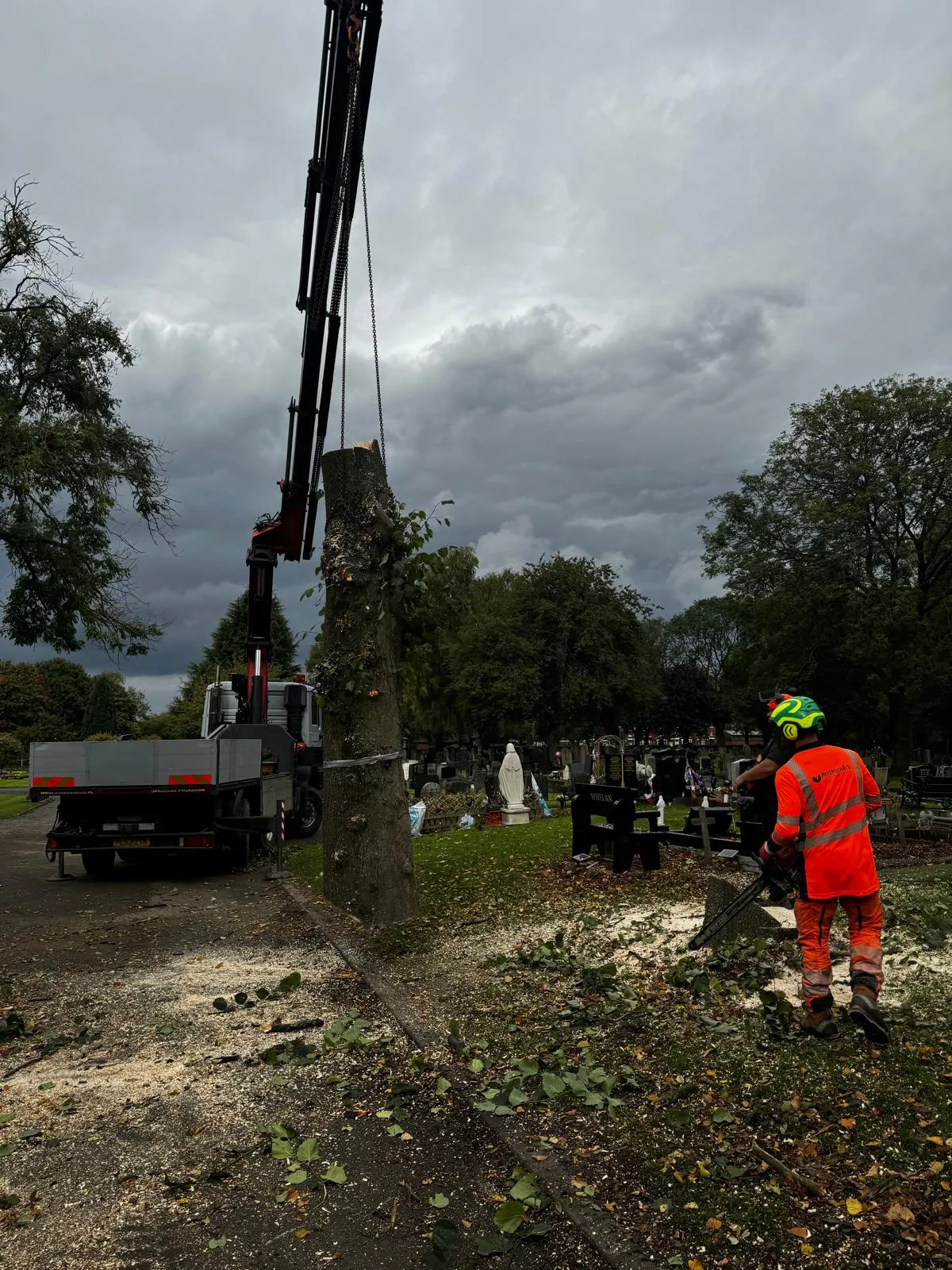 Gorton Cemetery grounds restored after tree removal