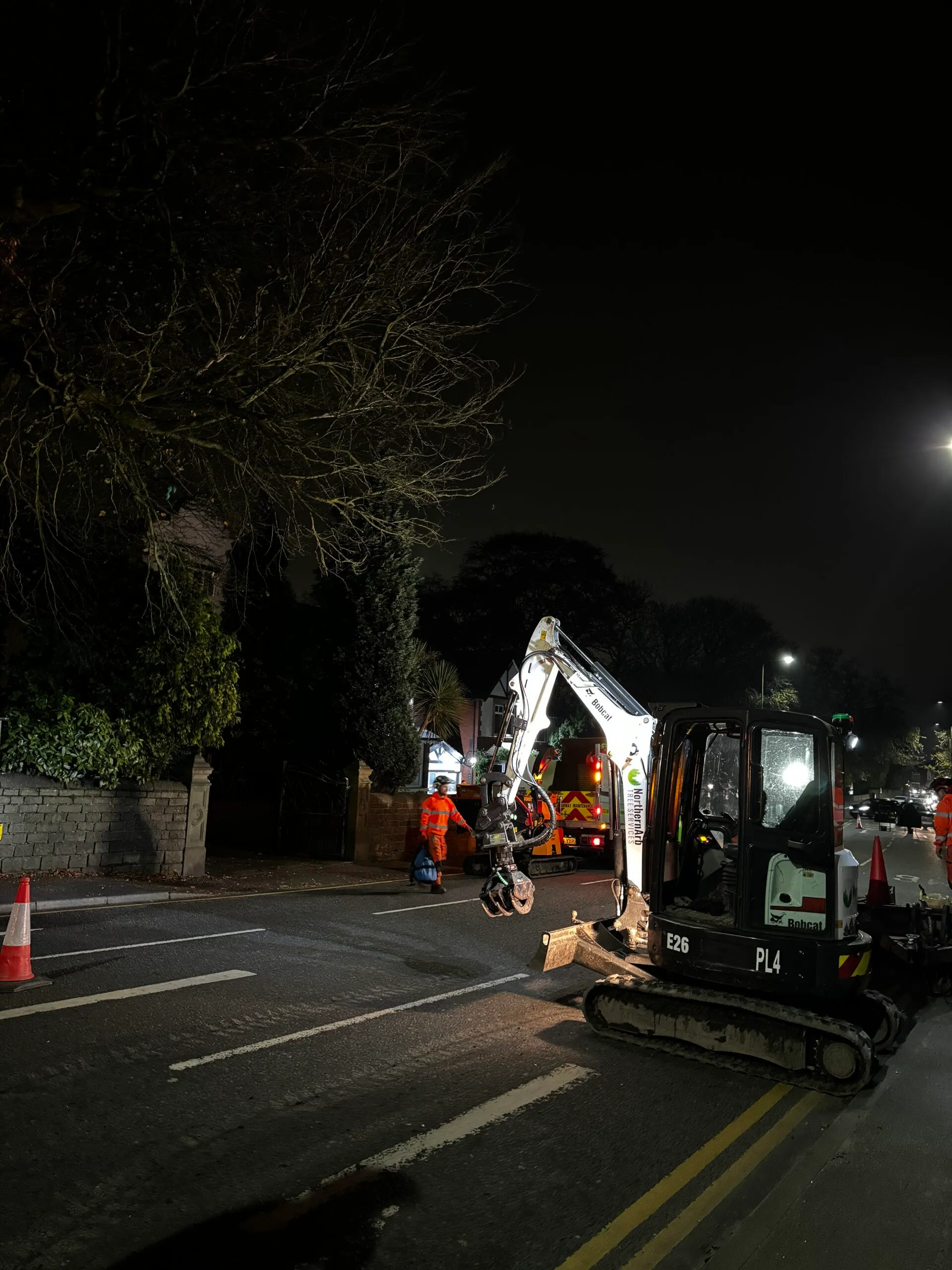 Emergency Tree Removal