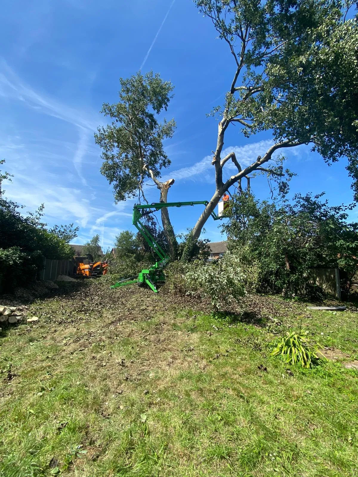 Tracked spider lift and grab wagon removing a wind-damaged tree in a residential garden