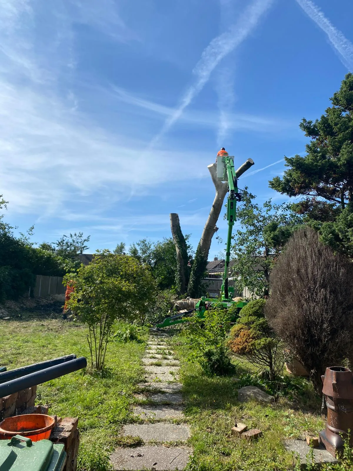 Aerial platform work during an emergency poplar make-safe