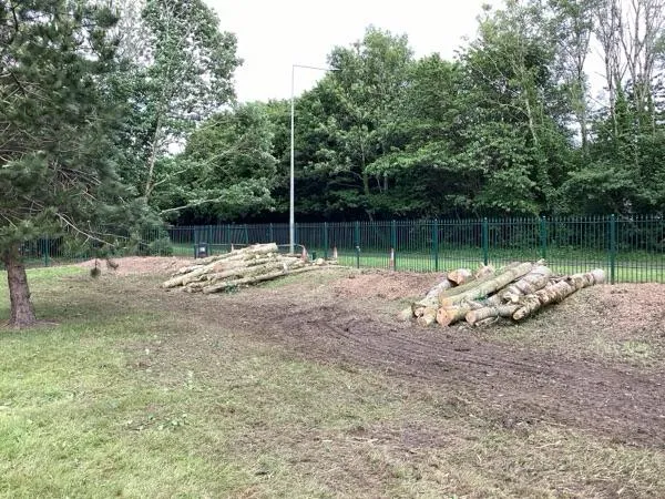Cleared church grounds after the hazardous tree removal