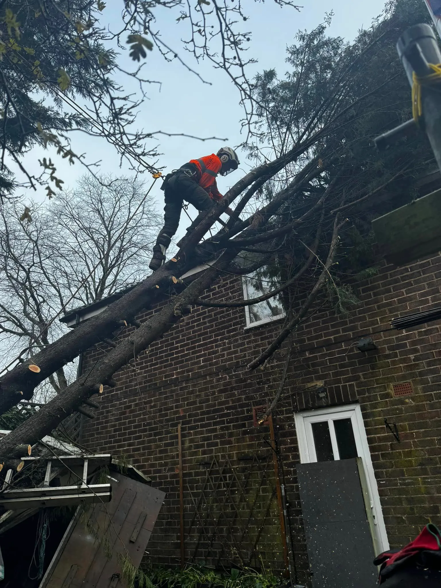 Storm-damaged conifer fallen across a house roof, made safe by NorthernArb