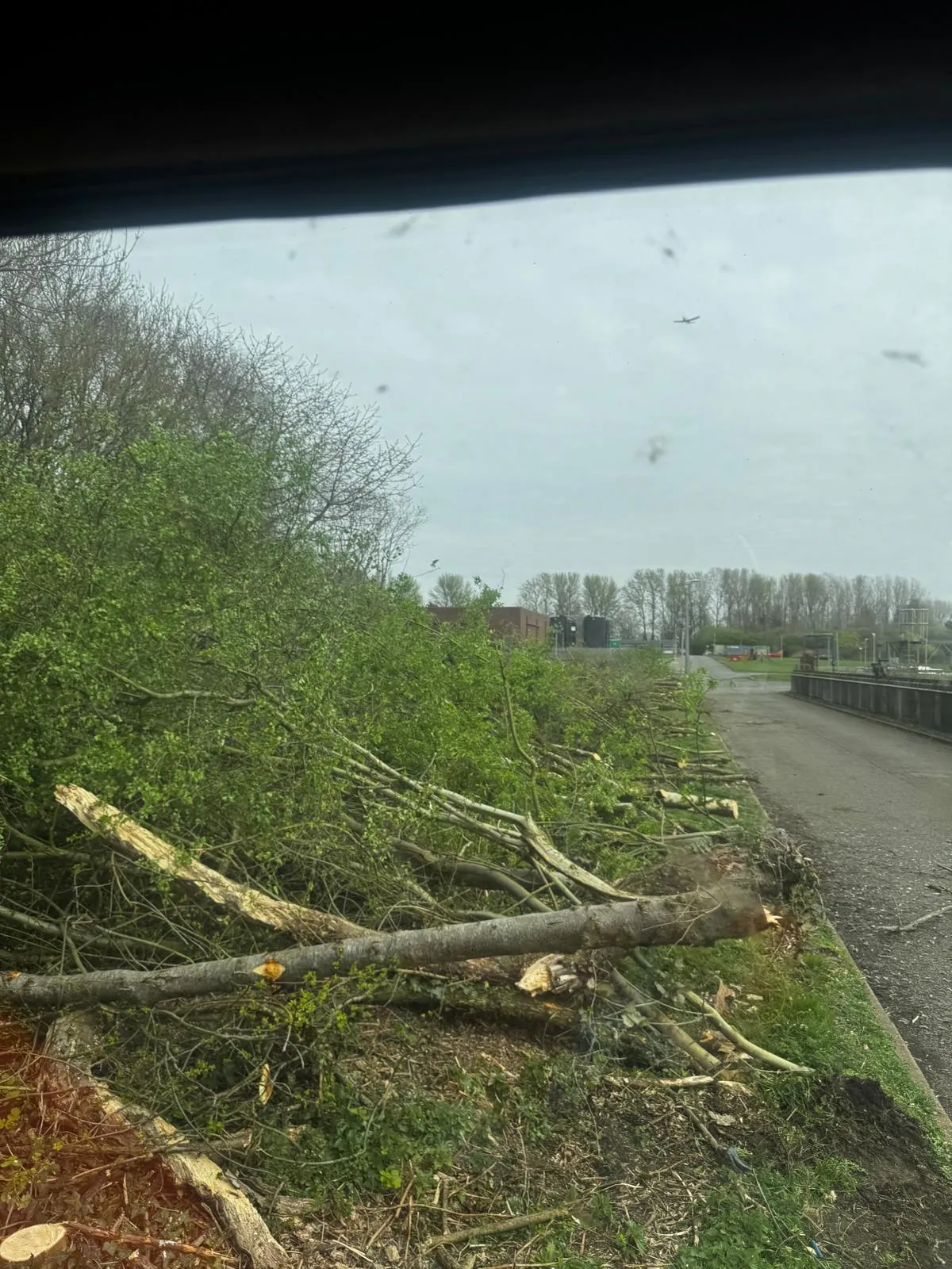 Trafford WWTW Site Clearance