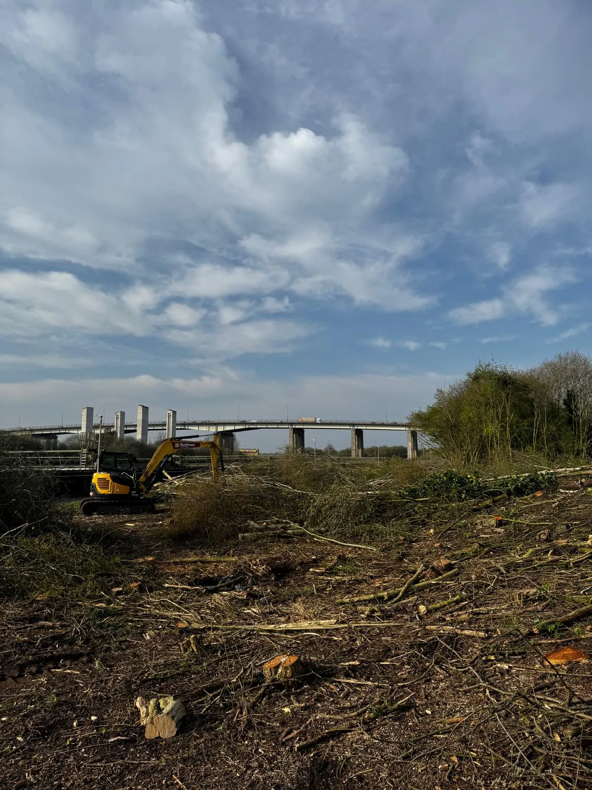 Excavator with grapple processing felled material at Trafford WWTW