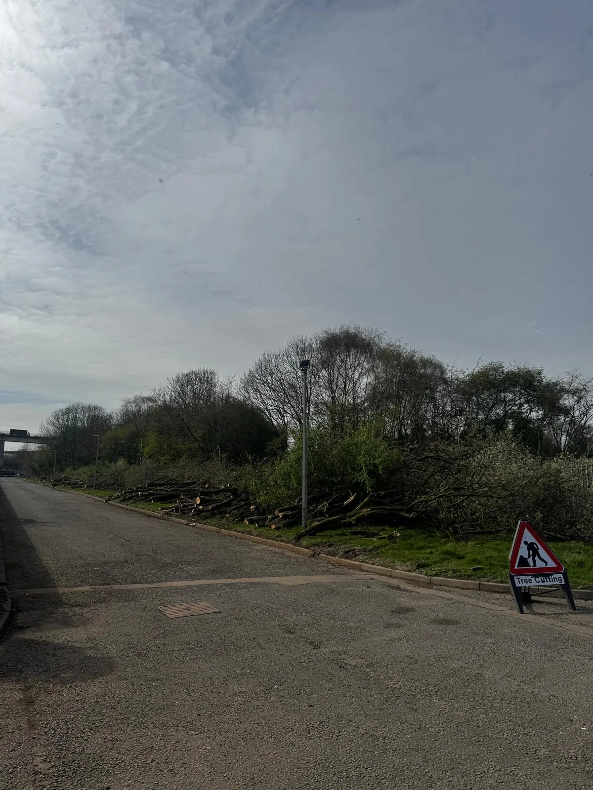 Ecologist-supervised clearance ahead of infrastructure upgrade works