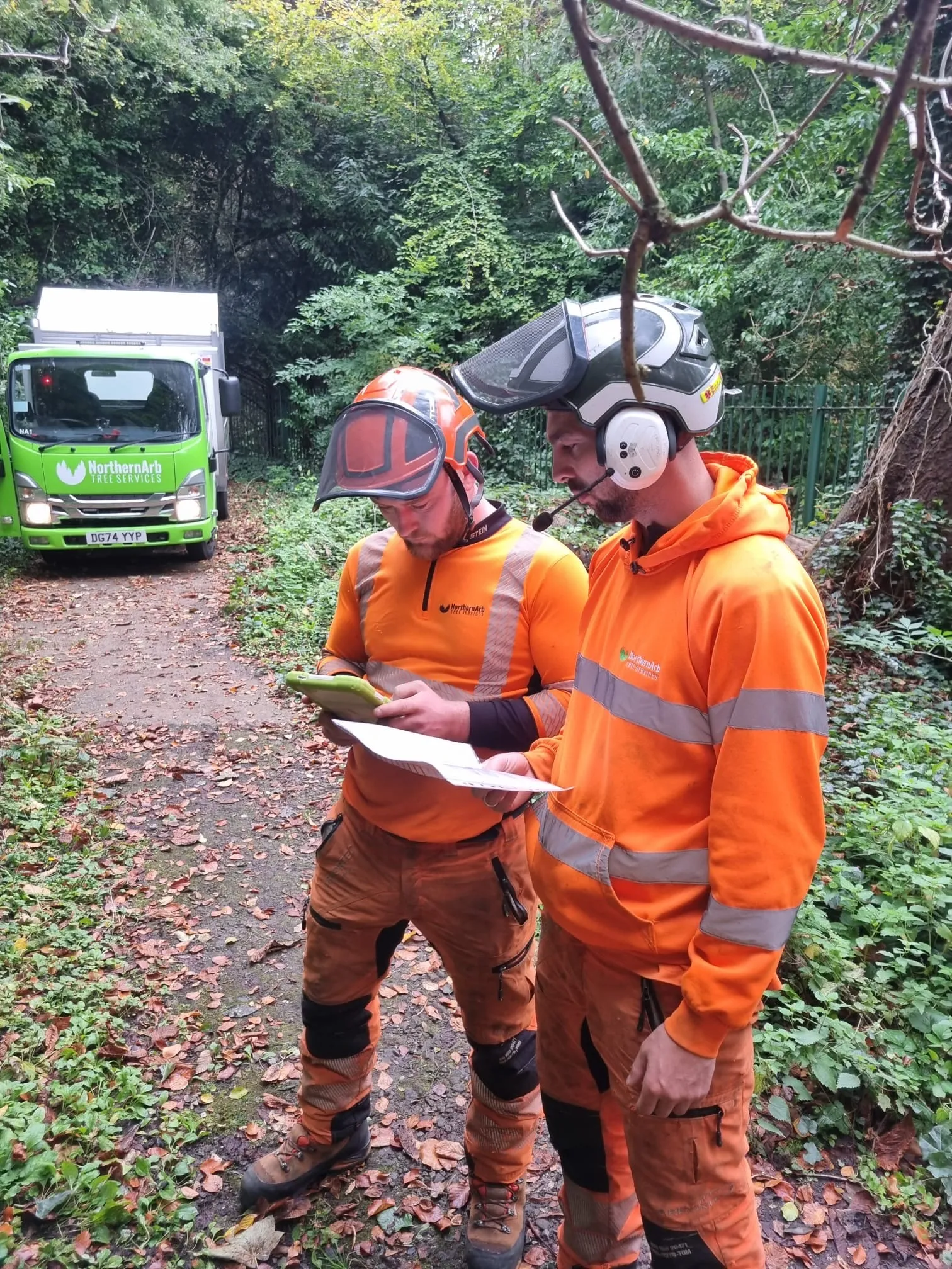NorthernArb arborists reviewing survey notes on site