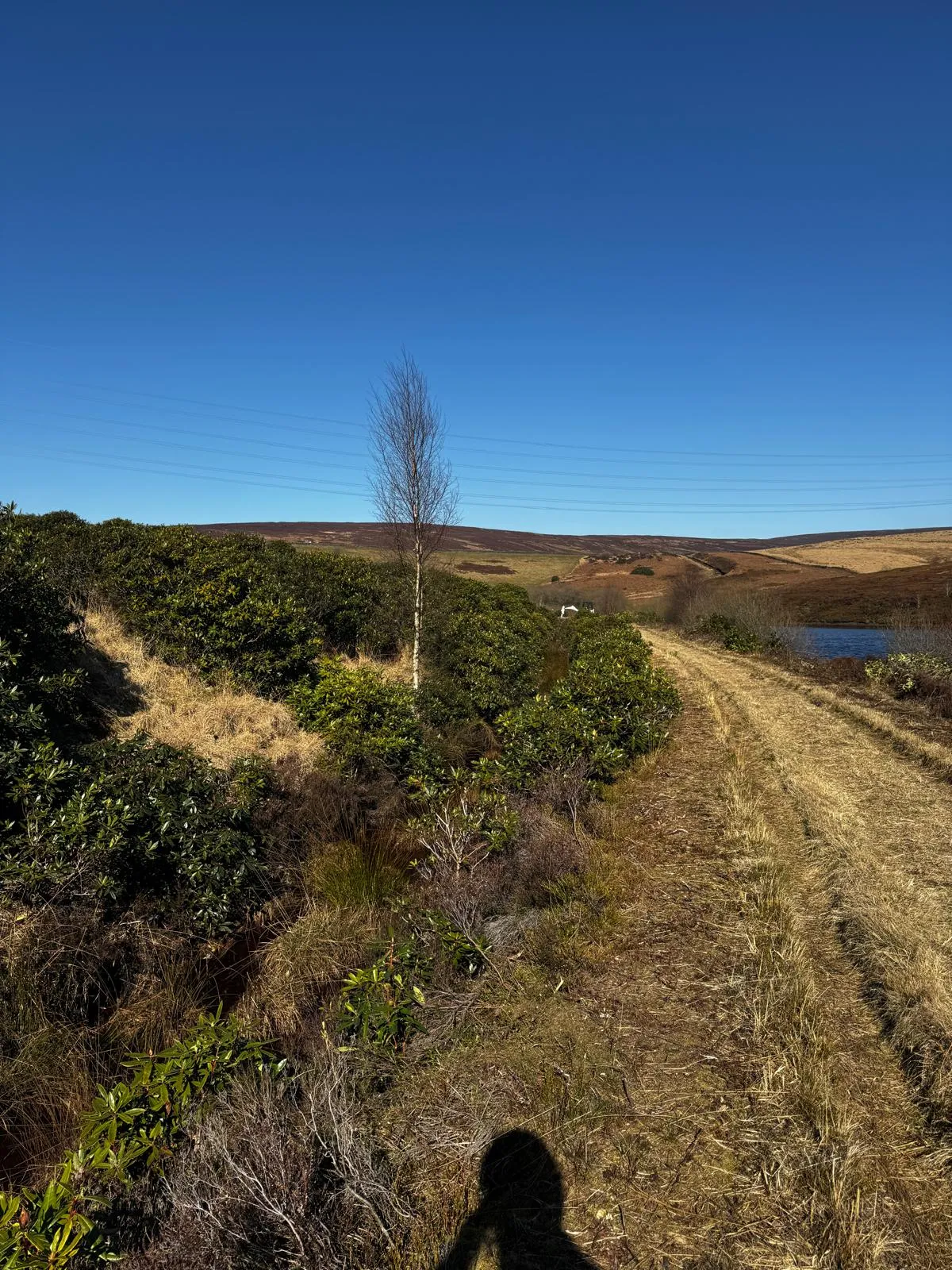 Saddleworth Reservoir Waterway Clearance