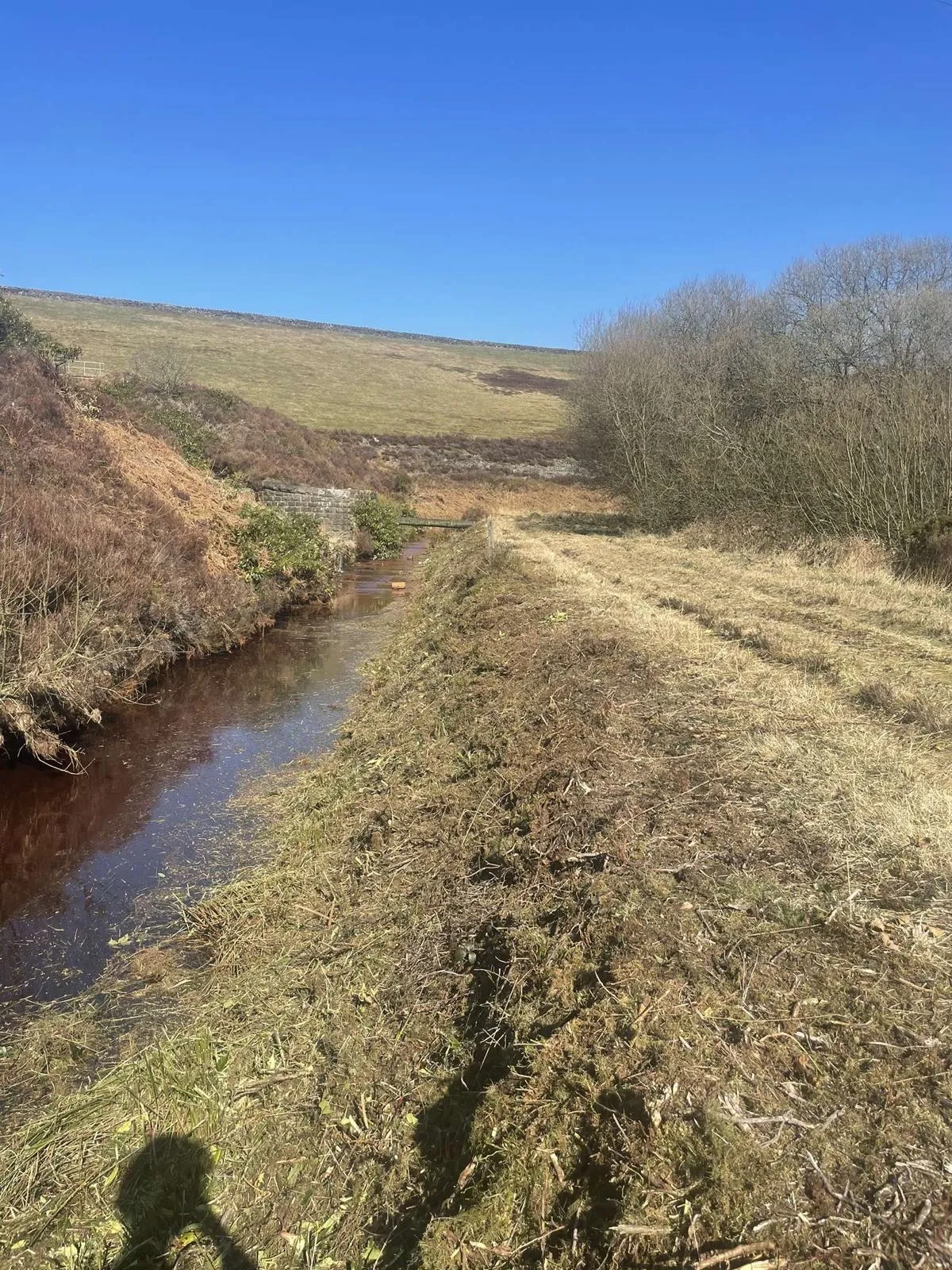 Dense vegetation encroaching on the reservoir access track before clearance