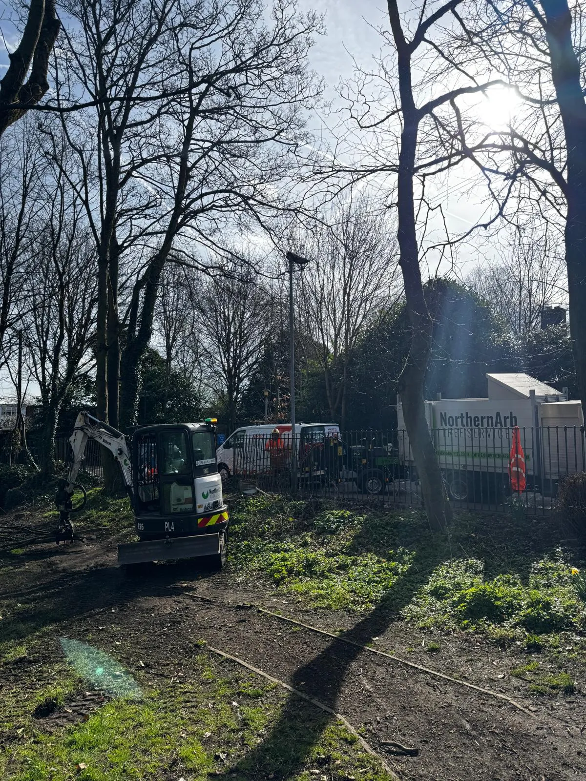Ecologist-supervised tree removal ahead of infrastructure works